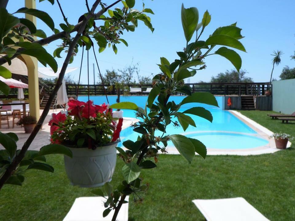 Hawaii Accommodation Pelekas Luaran gambar